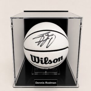 ballon wilson chicago bulls canva edition signé dennis rodman