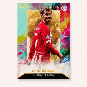 auto draft